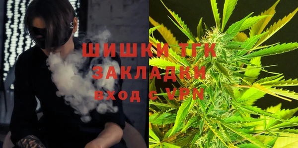 mdpv Заводоуковск