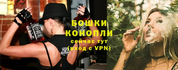 mdpv Заводоуковск